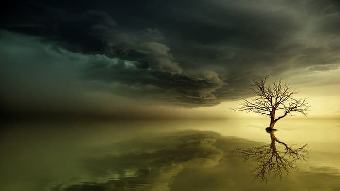 Fotografía de paisajes atmosféricos con un árbol cambiante durante una tormenta