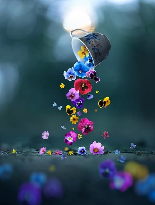Una foto conceptual de bodegón con flores.