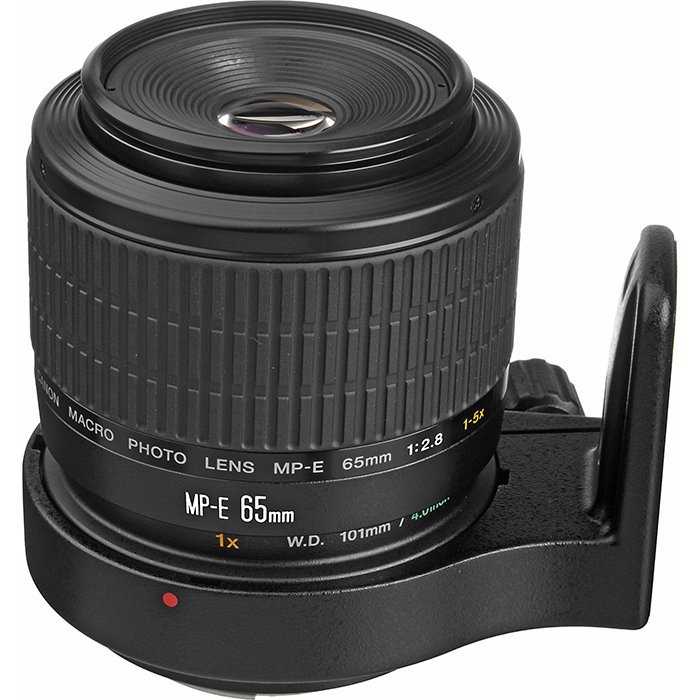 Imagen de un objetivo macro Canon EF MP-E 65 mm f / 2,8 1-5x