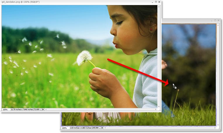 Imagen de los tutoriales de Adobe Photoshop.