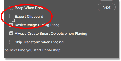La opción Exportar Portapapeles en las Preferencias de Photoshop.