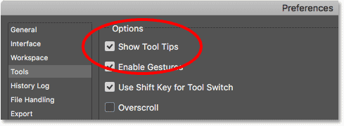 La opción Mostrar información sobre herramientas en las Preferencias de Photoshop.