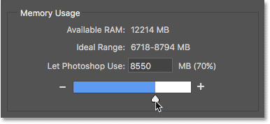 La opción Uso de memoria controla la cantidad de memoria con la que Photoshop tiene que trabajar.