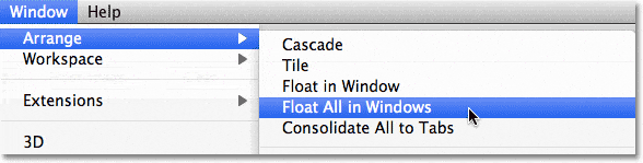 El comando Flotar todo en Windows en Photoshop CS5.