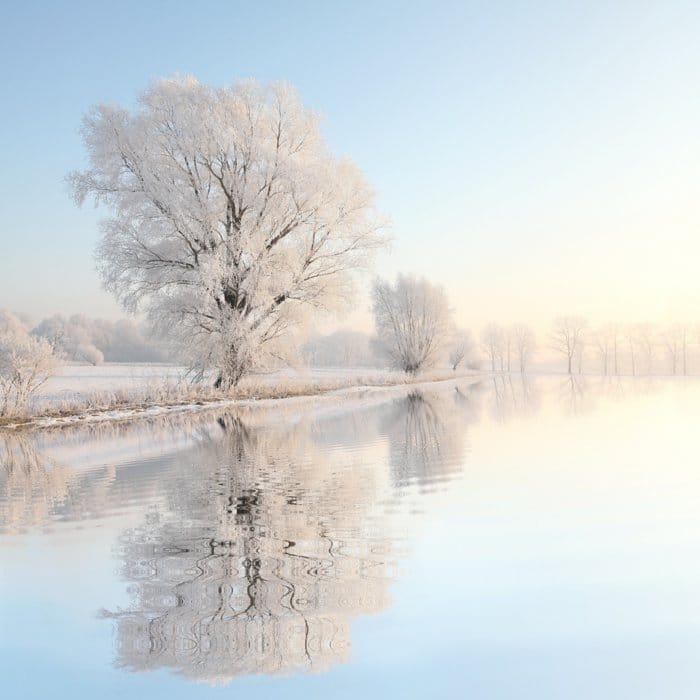 Fotografía invernal de ensueño de árboles nevados junto a un lago