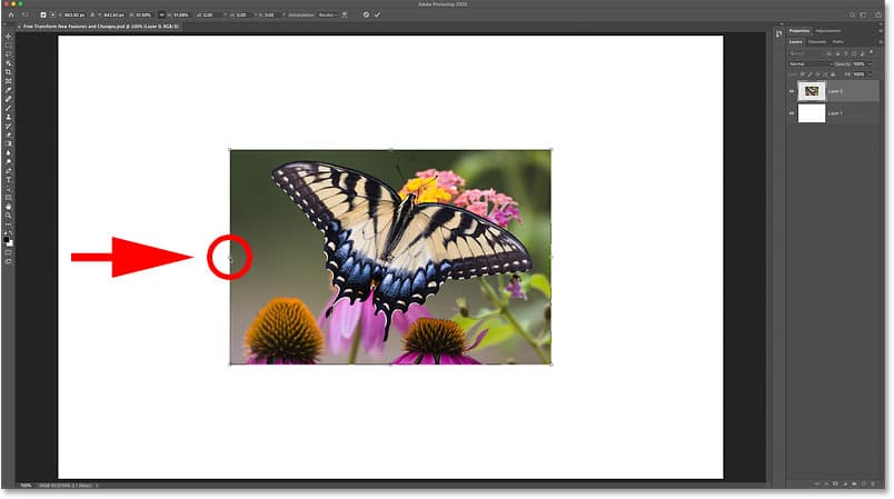 Cómo escalar una imagen proporcionalmente con Free Transform en Photoshop