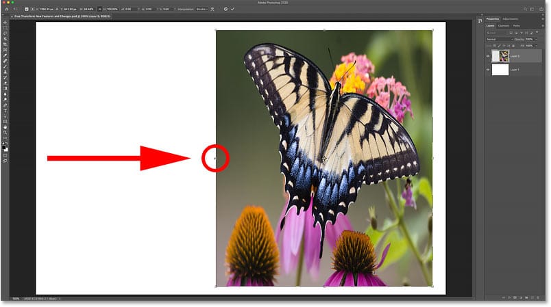 Cómo escalar una imagen de forma no proporcional con Free Transform en Photoshop