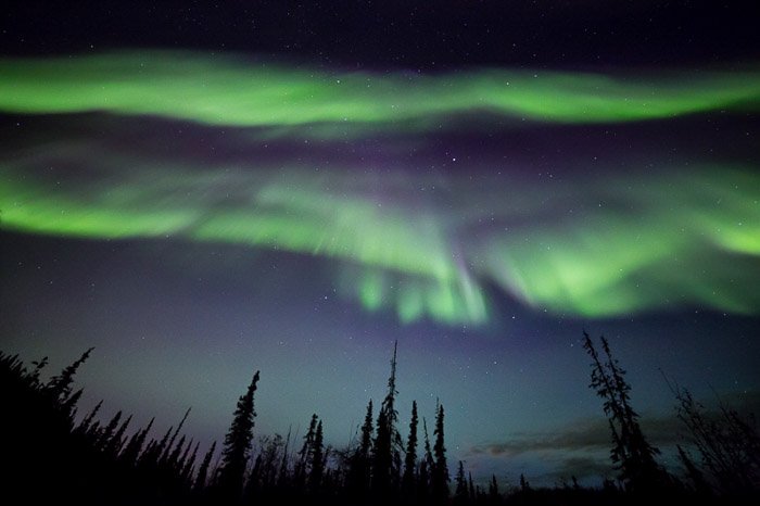 Foto de la aurora boreal sobre las siluetas de los árboles.  Fotografía de invierno.