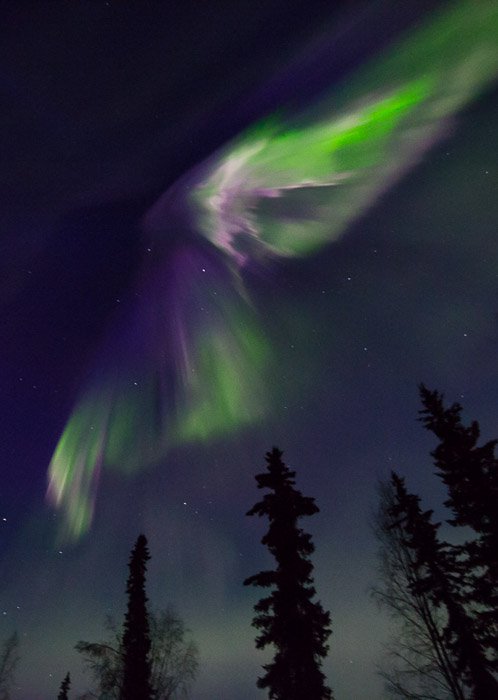 Espectacular fotografía invernal de la aurora boreal bailando sobre las siluetas de los árboles.