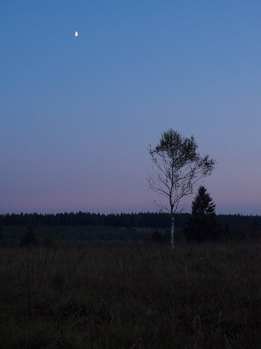 La Luna bajo un paisaje tranquilo filmado en 24 mm EFL.