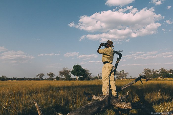 Un fotógrafo fotografiando en un paisaje cubierto de hierba: cómo vestirse para la fotografía de vida silvestre