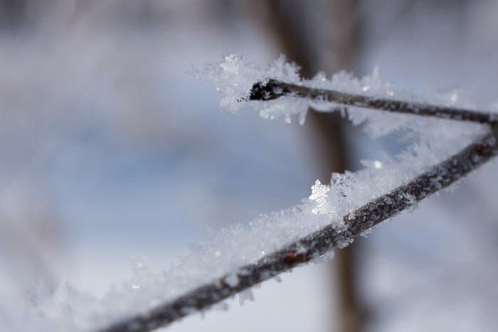 Cristales de hielo con zoom macro en un paisaje invernal.