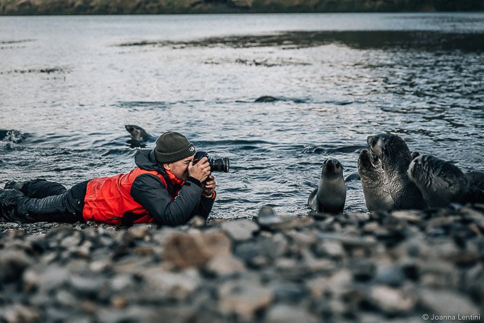 Un fotógrafo de vida silvestre fotografiando un retrato de una foca en una playa