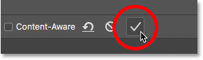 Hacer clic en la marca de verificación en la barra de opciones para recortar y cambiar el tamaño de la imagen