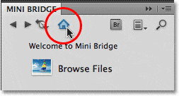 El icono de la página de inicio en Mini Bridge.