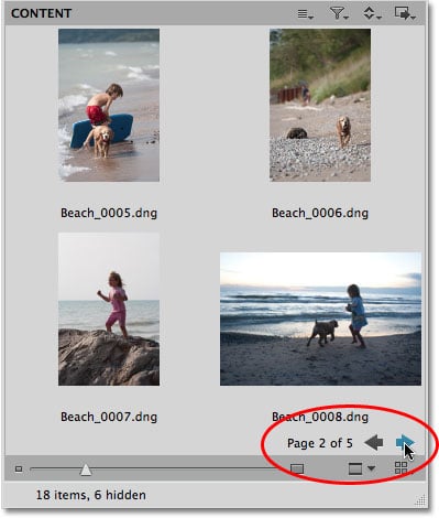 Las miniaturas de las imágenes que aparecen como páginas en Mini Bridge.