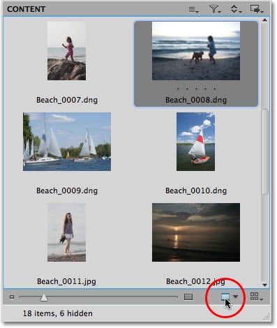 El icono de vista previa en Mini Bridge en Photoshop CS5.