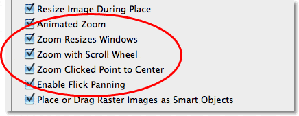 Las preferencias de Zoom en Photoshop CS5.