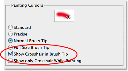 La opción Mostrar punto de mira en la punta del pincel en las Preferencias del cursor en Photoshop CS5.