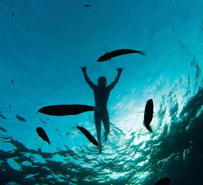 Fotografía submarina atmosférica de un nadador y un pez