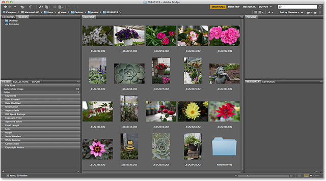 Navegando a la carpeta de imágenes en Adobe Bridge CS6.  Imagen © 2014 Photoshop Essentials.com
