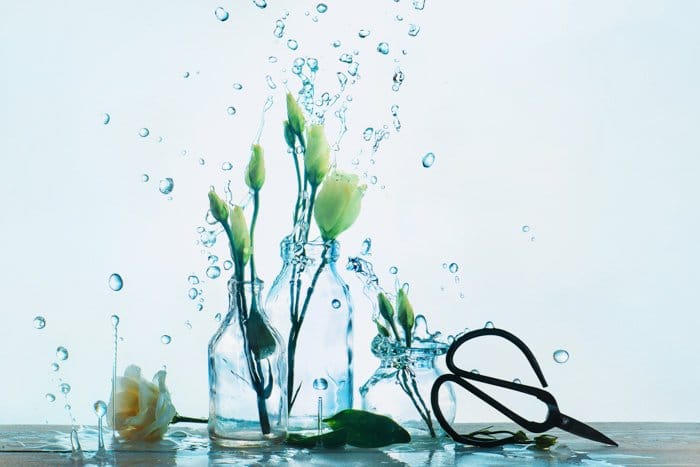 una fotografía creativa de comida con jarrones de flores y salpicaduras de agua sobre fondo blanco