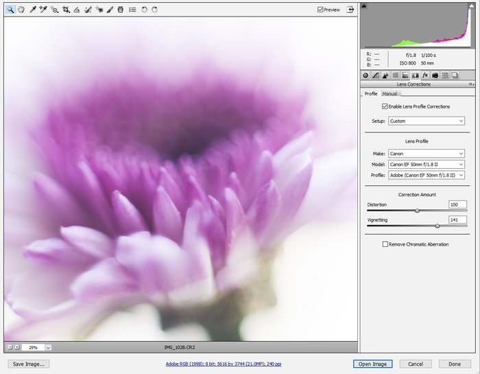 Una captura de pantalla que muestra cómo ajustar el viñeteado de la lente en una foto con Adobe Camera RAW