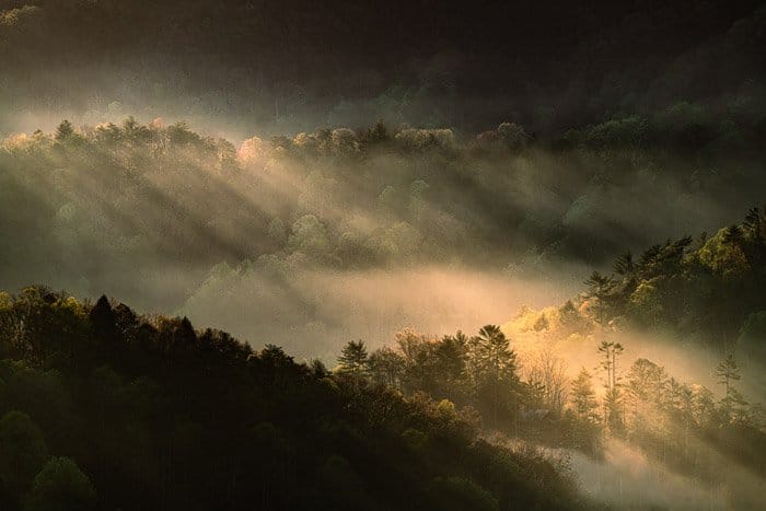 Niebla de montaña en el valle