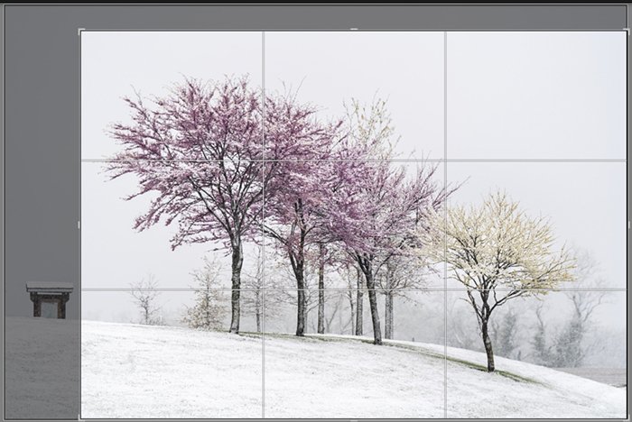 Captura de pantalla de los árboles de primavera nevados
