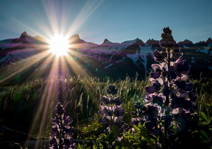 Impresionantes rayos de sol en un salvaje parque nacional de Alaska