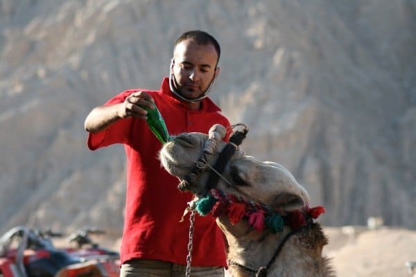 Un hombre con una camiseta roja alimentando a un camello - Modos de disparo