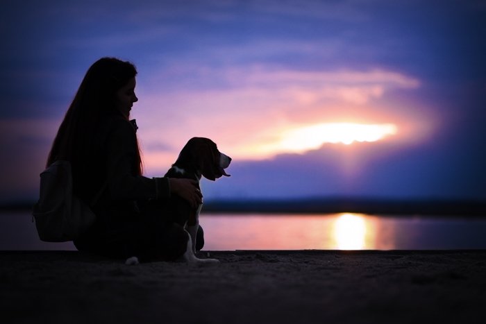 Cool fotografía de silueta de una niña y un perro en una playa al atardecer