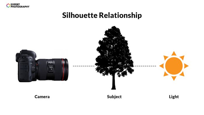 Un diagrama que explica cómo funciona la fotografía de siluetas.