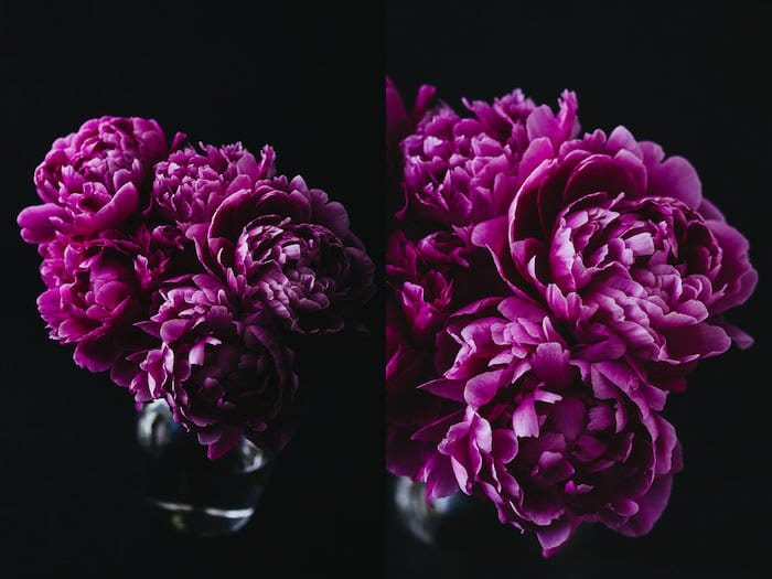 Díptico de fotografía de flores oscuras y atmosféricas.