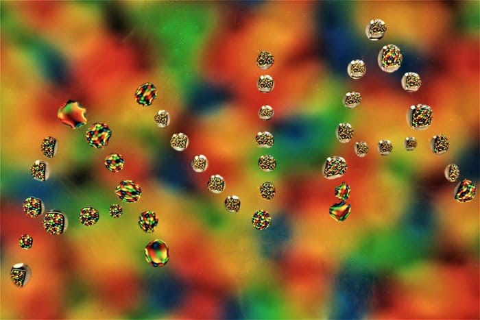 Fotografía colorida de la gota de agua por Vivien Cheng