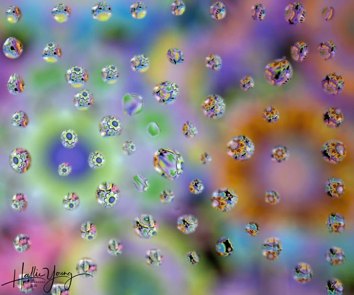 Fotografía colorida de la gota de agua por Hallie Young