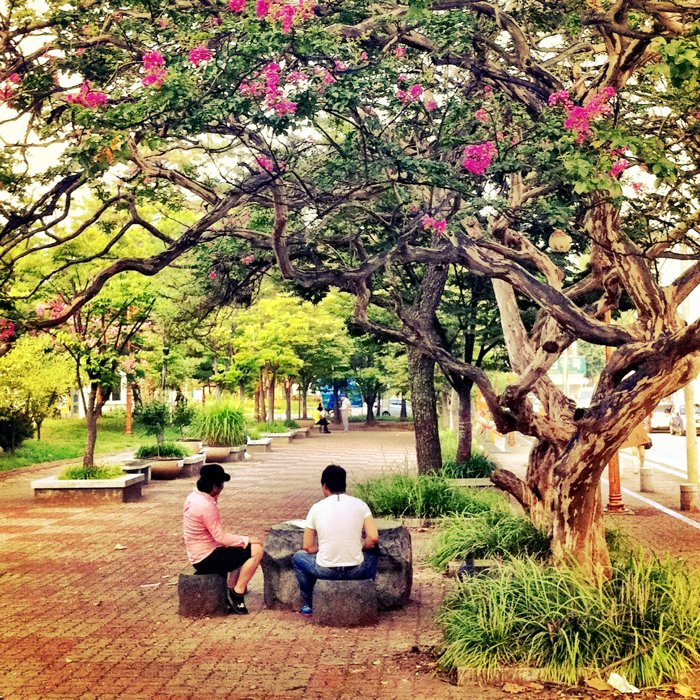 Brighta nd airy smartphotne street foto de personas sentadas debajo de un árbol