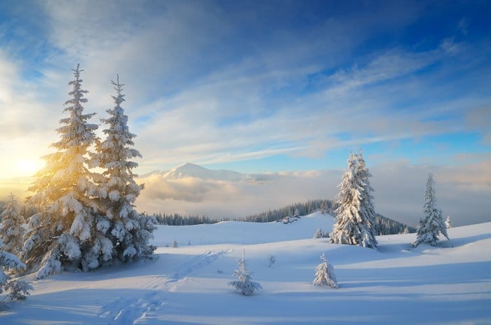 Hermoso paisaje cubierto de nieve