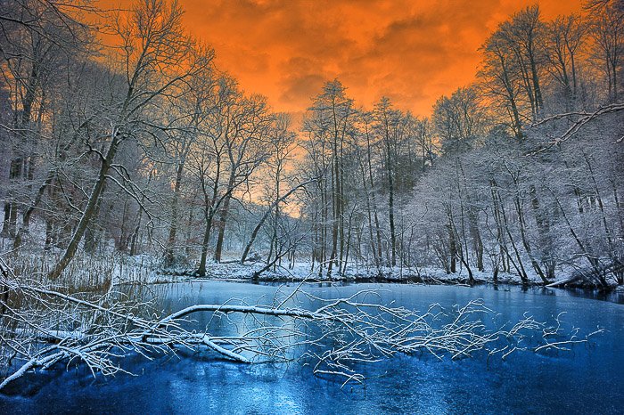 Un lago rodeado de árboles helados y un impresionante cielo anaranjado - foto de cielos dramáticos