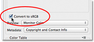 Seleccionando la opción Convertir a sRGB en el cuadro de diálogo Guardar para Web y dispositivos.  Imagen © 2012 Photoshop Essentials.com