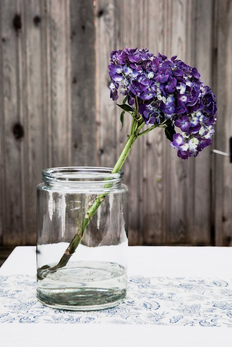 Un bodegón luminoso y aireado de flores púrpuras en un frasco de vidrio - fotografía de flores para teléfonos inteligentes
