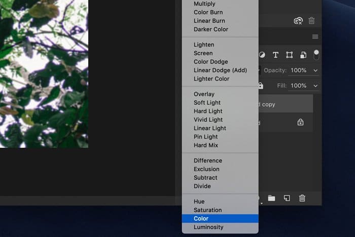 una captura de pantalla que muestra cómo eliminar la aberración cromática en Photoshop