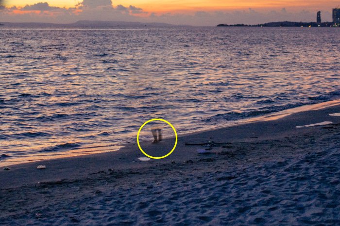 Captura de pantalla que muestra cómo eliminar algo en Photoshop, usando una foto de una mujer caminando en la playa al atardecer.