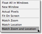 La opción Hacer coincidir zoom y ubicación en Photoshop CS4.