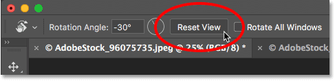El botón Restablecer vista para la herramienta Girar vista en Photoshop