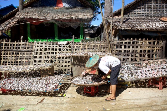 Foto de una persona en la calle secando pescado