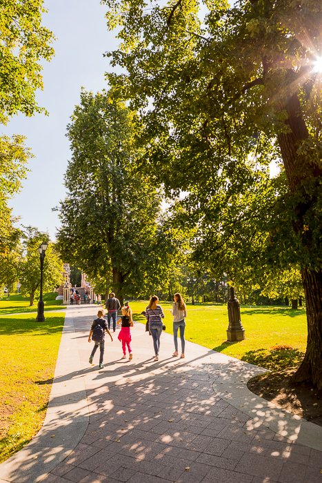foto luminosa y aireada de personas caminando por un parque con un efecto de rayos de sol a través de los árboles