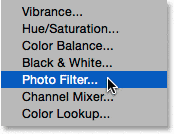 Elegir una capa de ajuste de filtro de fotos.