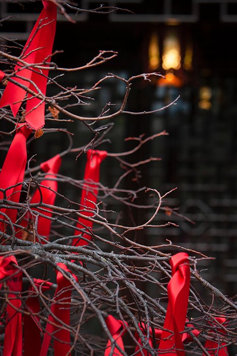Cintas rojas atadas a un árbol sin hojas en un día gris y aburrido.