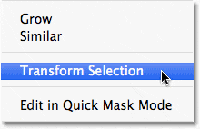 Seleccionando el comando Transformar selección en Photoshop.